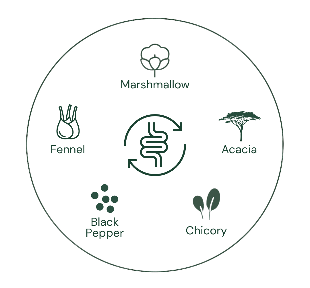 Diagram showing a circular arrangement of plants with labels: Marshmallow, Fennel, Acacia, Black Pepper, and Chicory.
