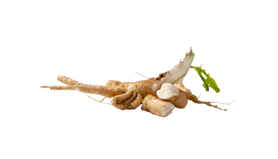 Chicory Root (Inulin)