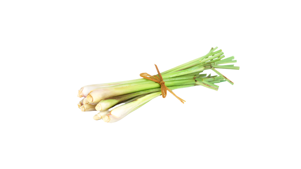 Bunch of lemongrass tied with twine